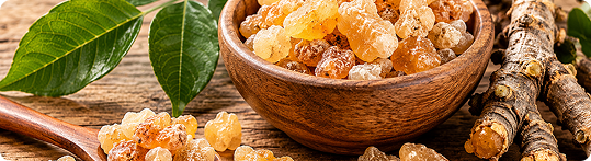 Boswellia Extract
